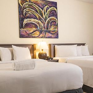 Morrison Hotel San Salvador